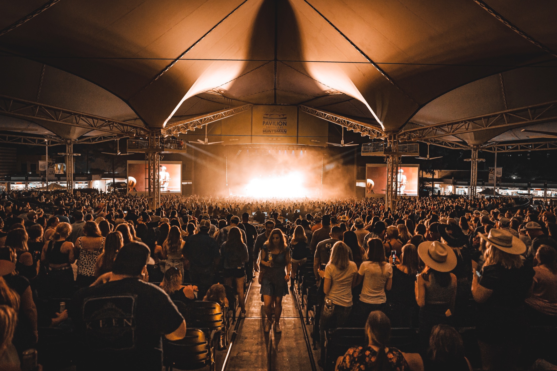 Pavilion audience enjoying a concert.